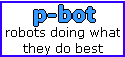 p-bot.com